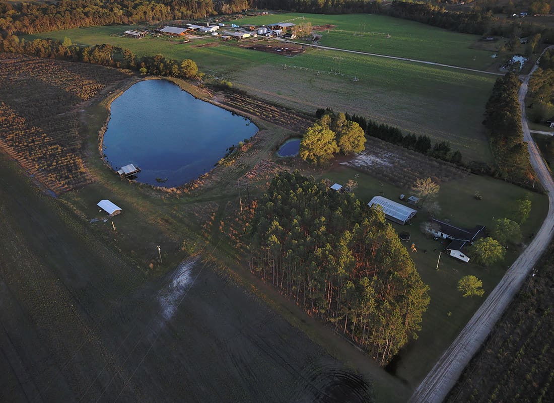 Alma, GA - Aerial view of a farm in Alma, GA